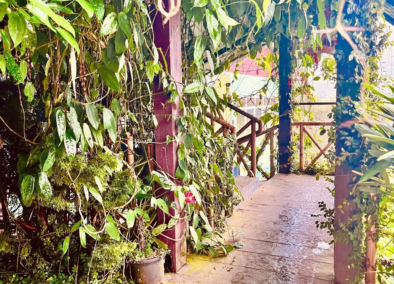 Munnar Tea Estate Cottage And Resort - Away From City Hustle India